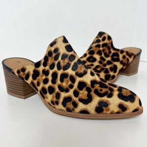 Johnston & Murphy Leopard Print Mules